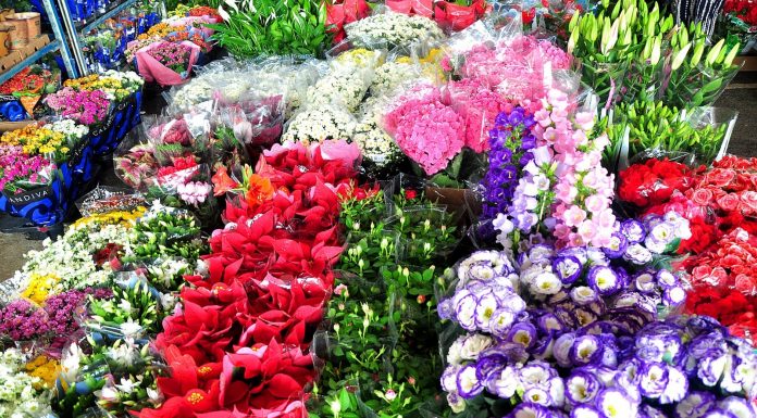 Mercado de Flores da Craisa é opção de compras para o Dia de Finados