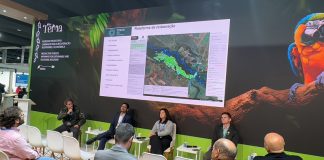 Governo de SP lança, na COP29, plataforma avançada de estímulo à restauração de áreas protegidas