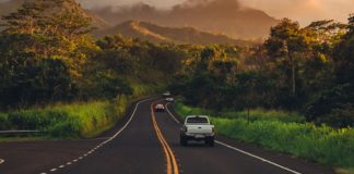 Emissão de ‘CNH internacional’ pelo Detran-SP sobe 15% em 2024: saiba como obter a sua