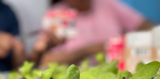 CAPS Adulto de Ribeirão Pires inicia projeto ‘CultivAção’