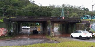 Chuva provoca pontos com alagamentos e queda de árvores em Ribeirão Pires