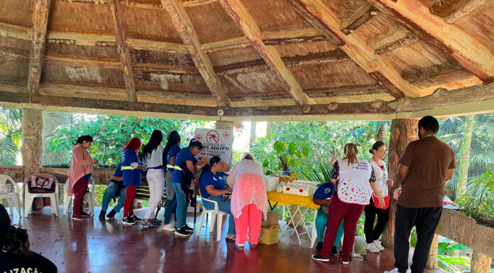 Braskem reforça impacto social e ambiental do Projeto Ser+ em 2024