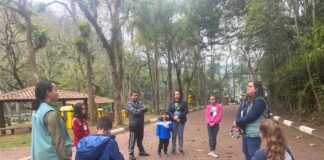 Semasa leva crianças para brincar na natureza durante as férias