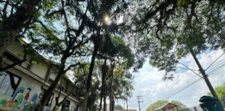 Parcão Estopinha é opção de lazer para pets e famílias durante as férias escolares em Ribeirão Pires