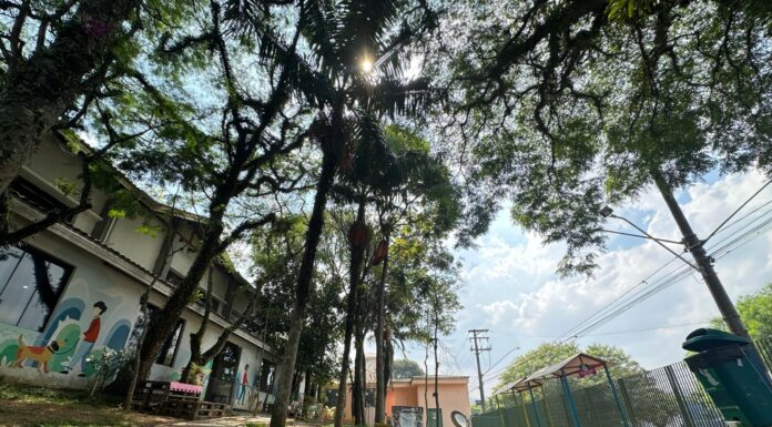 Parcão Estopinha é opção de lazer para pets e famílias durante as férias escolares em Ribeirão Pires