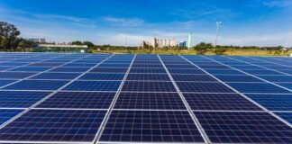 Governo de SP isenta licenciamento para implementação de plantas solares em até 5MW