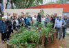 São Caetano lança Jardim Terapêutico