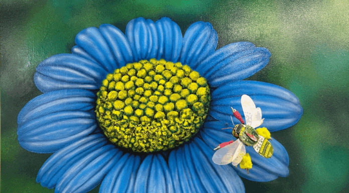 Santo André recebe mostra cultural Arapyau