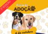 Feira de adoção animal da OAB recebe apoio do Singular