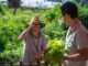 Santo André inicia consulta pública para construir política de agricultura urbana