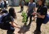 Plantio no Parque do Pedroso marca início do Projeto Águas da Mata em Santo André