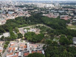 Primeira Festa de São João de São Caetano reúne shows, quadrilhas, oficinas e atrações para toda a família