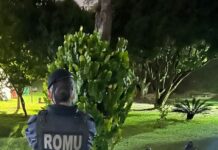 Atuação rápida da GCM permite recuperar moto roubada em Diadema