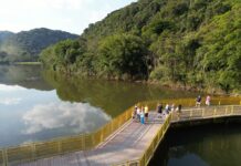 Santo André realiza primeira edição da Feira Criativa do Parque do Pedroso