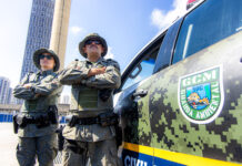 GCM captura serpente e lagarto-teiú e devolve animais à natureza