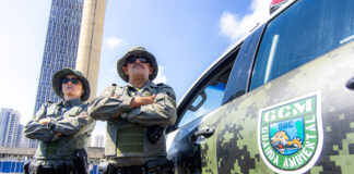 GCM captura serpente e lagarto-teiú e devolve animais à natureza