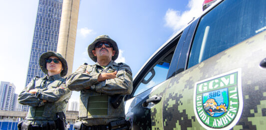 GCM captura serpente e lagarto-teiú e devolve animais à natureza