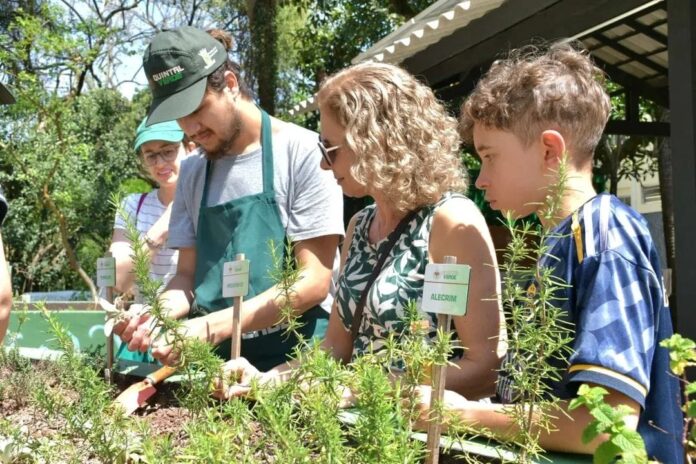 Às vésperas da COP30, Governo Federal reconhece projetos de Santo André que contribuem com a pauta climática