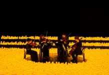 Teatros de Santo André terão programação variada neste domingo