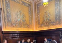 Carla Morando solicita criação de nova Vara de Violência Doméstica em São Bernardo