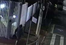 GCM de São Caetano prende homem em flagrante após furto no Bairro Cerâmica