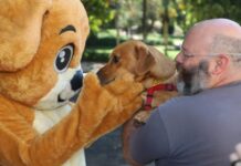 Moeda Pet retorna ao Parque Central para última edição do ano