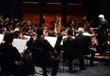 Sinfônica de Santo André celebra três grandes nomes da música clássica neste fim de semana