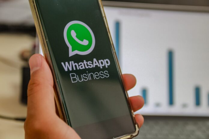 WhatsAppnegócios - Alex Cavanha