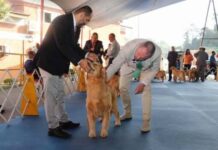 Exposição de Cães de Raça Pura movimenta Ribeirão Pires neste fim de semana