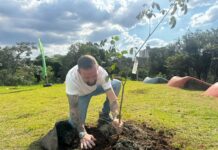 Parque Central passa por ampla revitalização e recebe plantio de 300 árvores