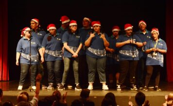 Festival em Santo André celebra arte e talentos das pessoas com deficiência