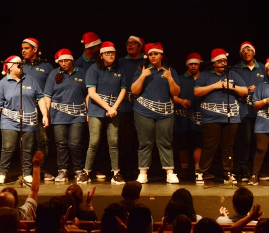 Festival em Santo André celebra arte e talentos das pessoas com deficiência