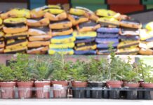 Ribeirão Pires distribui mais de três toneladas de ração a protetores e animais em vulnerabilidade