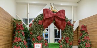 O Natal no ParkShopping São Caetano chega com Panettone Kopenhagen e sorteios de 3 BYD híbridos