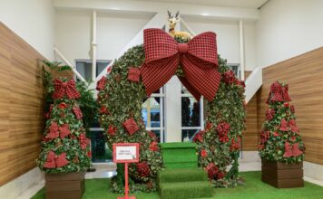 O Natal no ParkShopping São Caetano chega com Panettone Kopenhagen e sorteios de 3 BYD híbridos