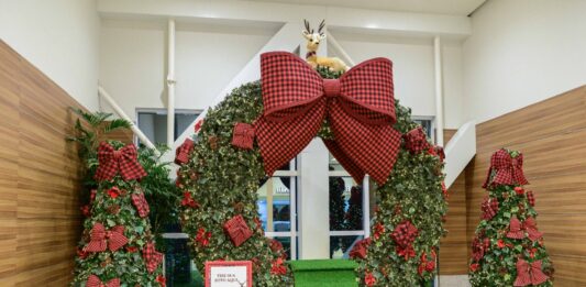 O Natal no ParkShopping São Caetano chega com Panettone Kopenhagen e sorteios de 3 BYD híbridos