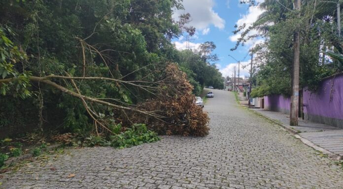 Prefeitura reforça pronta-resposta após chuvas e ventos intensos em Ribeirão Pires