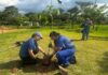 Parque Central passa por ampla revitalização e recebe plantio de 300 árvores