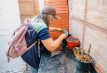 Casos de óbitos por dengue registram queda de 83% em São Bernardo