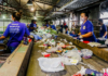 Cooperativas de reciclagem evitam que 6,3 mil toneladas de materiais sejam despejadas em aterro