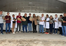 Entidades sociais de São Bernardo recebem 1 tonelada de hortifrútis do Banco de Alimentos Municipal