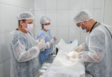 Ribeirão Pires mantém campanha permanente de castração gratuita para cães e gatos