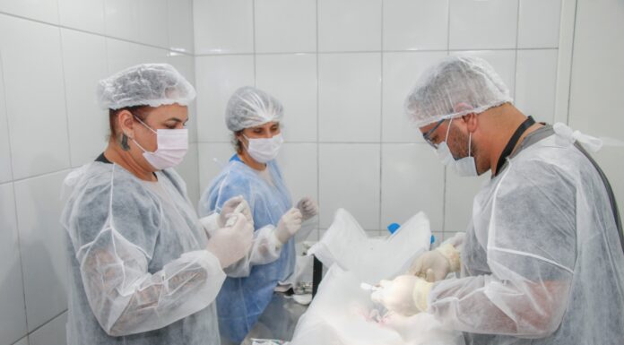 Ribeirão Pires mantém campanha permanente de castração gratuita para cães e gatos