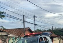 GCM de Ribeirão Pires intensifica ações de segurança no fim de ano e registra prisão e controle de tumultos