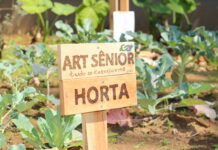 São Caetano abre rematrículas para atividades do Grupo ART Sênior