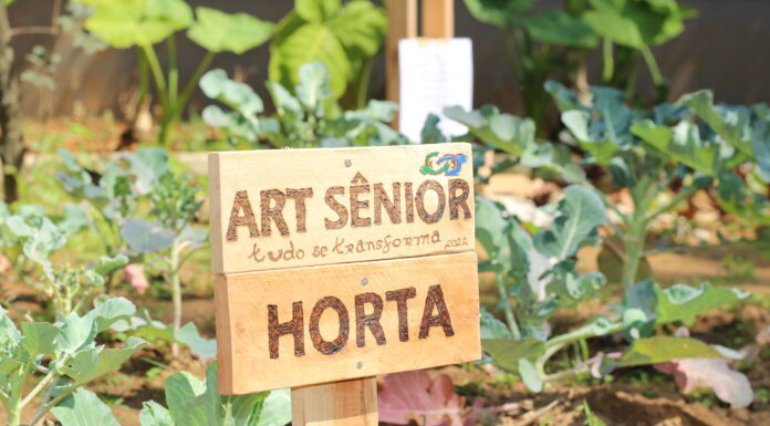 São Caetano abre rematrículas para atividades do Grupo ART Sênior