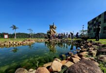 Férias verdes: parques de Ribeirão Pires são convite para lazer, descanso e contato com a natureza