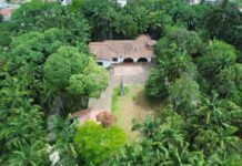 Roda de Reiki promove encontro de cura e bem-estar em Ribeirão Pires