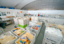 Arrecadação de alimentos em São Bernardo durante fim de ano e férias ultrapassa 14 toneladas