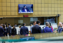 Leis de SP ampliam inclusão de alunos com TEA e autorizam sepultamento de pets em jazigos familiares